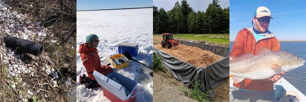 Water draining from buried black pipe, researcher on frozen lake, tractor moving wood chips on bioreactor site, researcher holding large fish